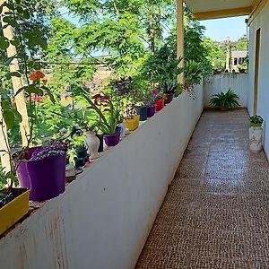 Hotel Los Chow Chow